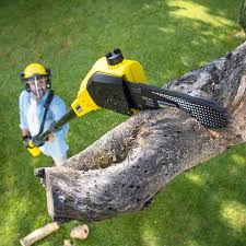 Best Soil Testing and Treatment  in Central Garage, VA
