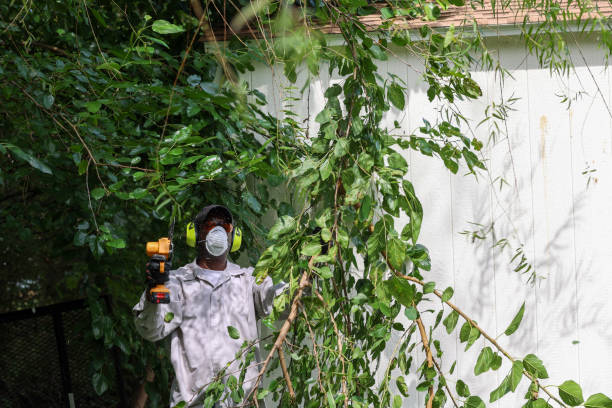 Best Commercial Tree Services  in Central Garage, VA